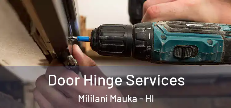 Door Hinge Services Mililani Mauka - HI