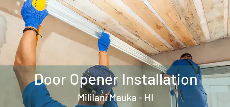  Door Opener Installation Mililani Mauka - HI