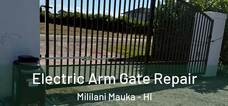 Electric Arm Gate Repair Mililani Mauka - HI
