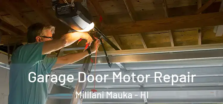  Garage Door Motor Repair Mililani Mauka - HI