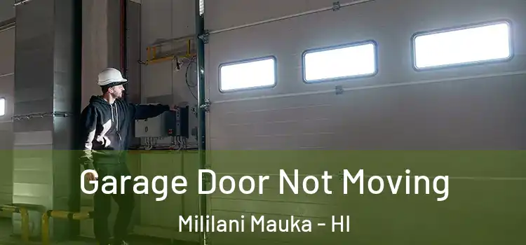  Garage Door Not Moving Mililani Mauka - HI