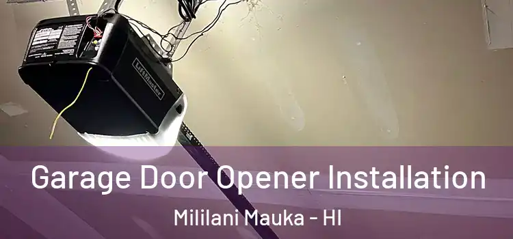  Garage Door Opener Installation Mililani Mauka - HI