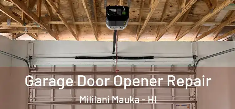  Garage Door Opener Repair Mililani Mauka - HI