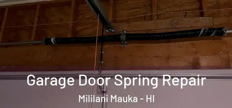  Garage Door Spring Repair Mililani Mauka - HI