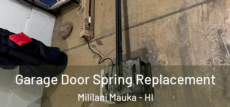  Garage Door Spring Replacement Mililani Mauka - HI