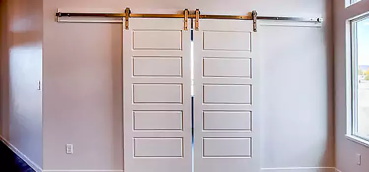 Glass Barn Door with Installation Hardware Kit Mililani Mauka