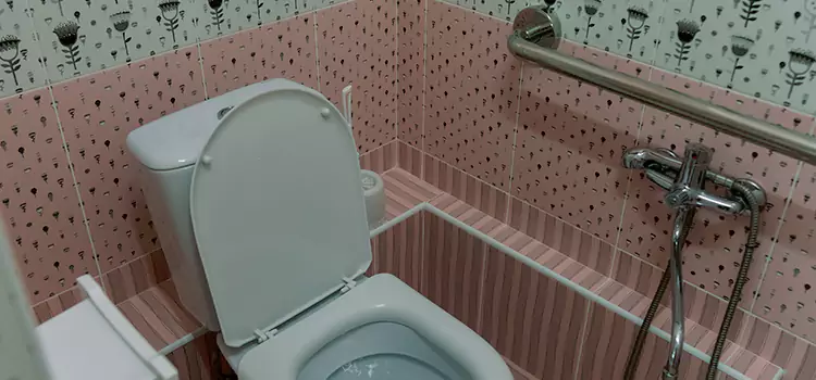 Meeting Diverse Needs With Accessible Restroom Solutions in Mililani Mauka, HI
