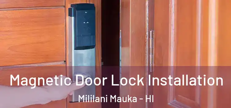  Magnetic Door Lock Installation Mililani Mauka - HI