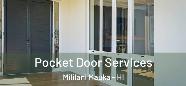Pocket Door Services Mililani Mauka - HI