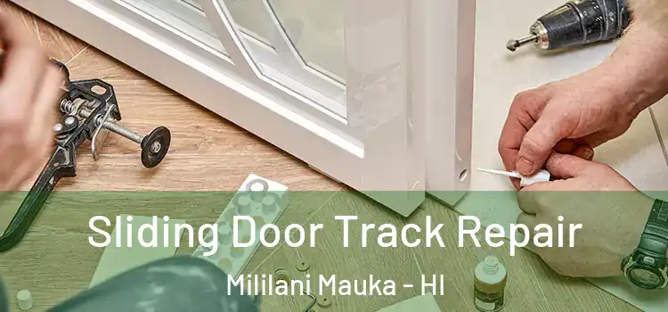  Sliding Door Track Repair Mililani Mauka - HI