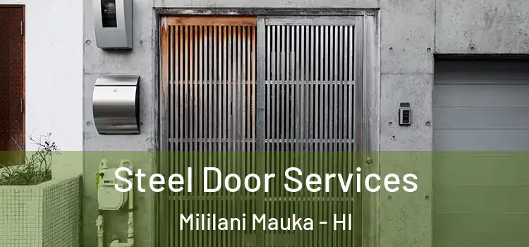Steel Door Services Mililani Mauka - HI